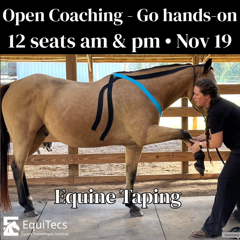 Open Practicum — Hands-On Coaching Session (In Person)
