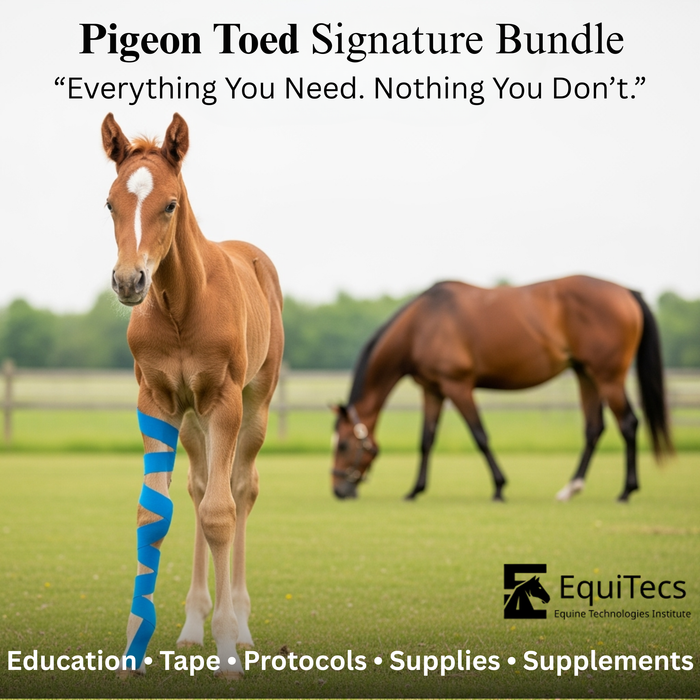 Pigeon Toed Signature Bundle