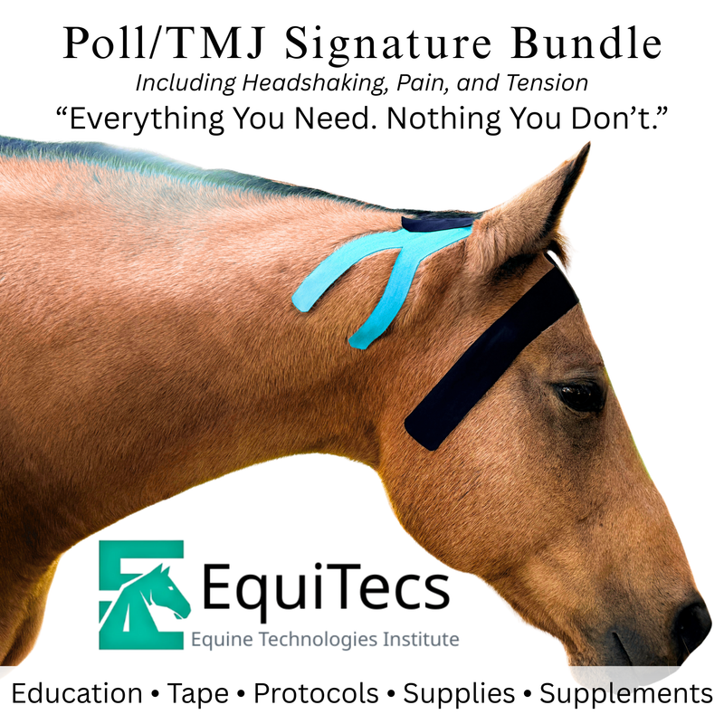 Poll & TMJ Signature Bundle