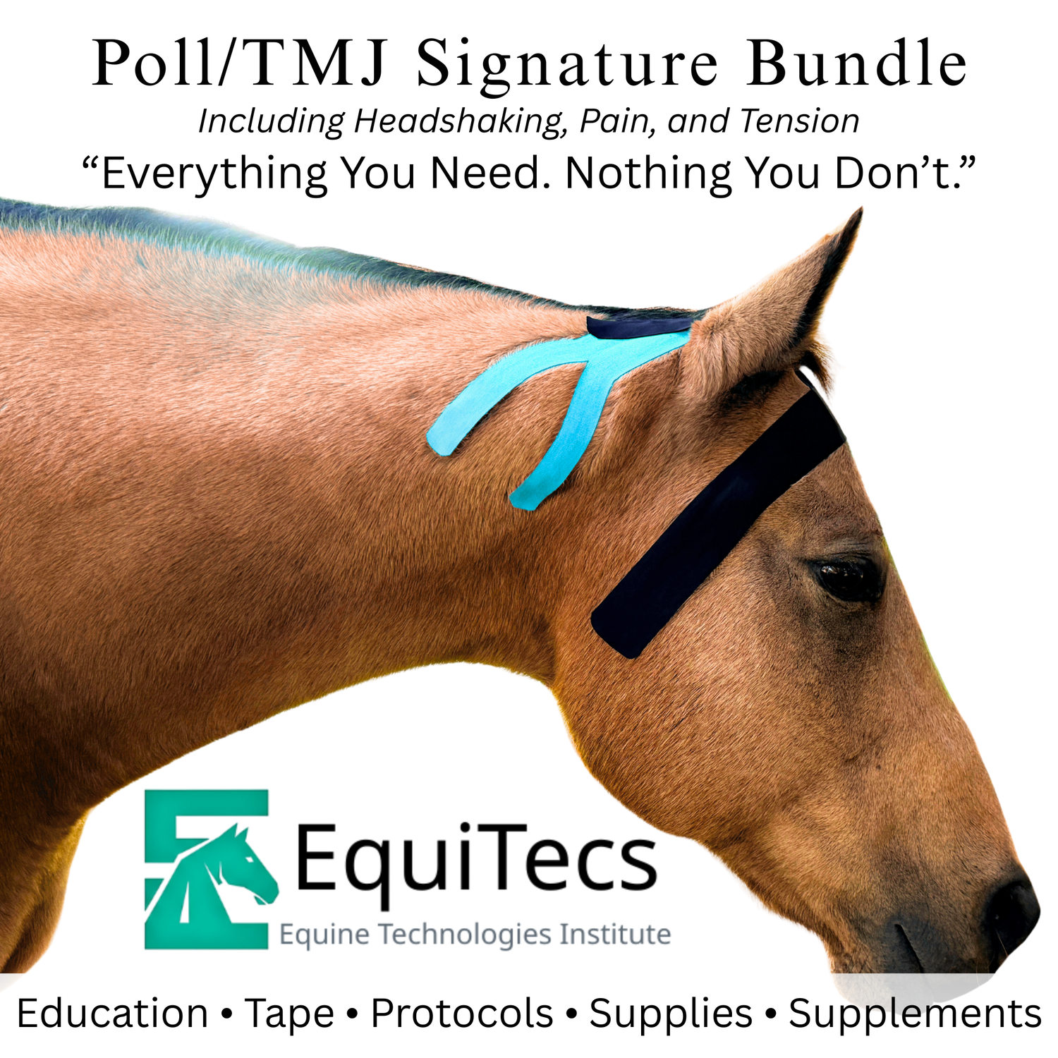  Poll & TMJ Issues Protocol For Horses