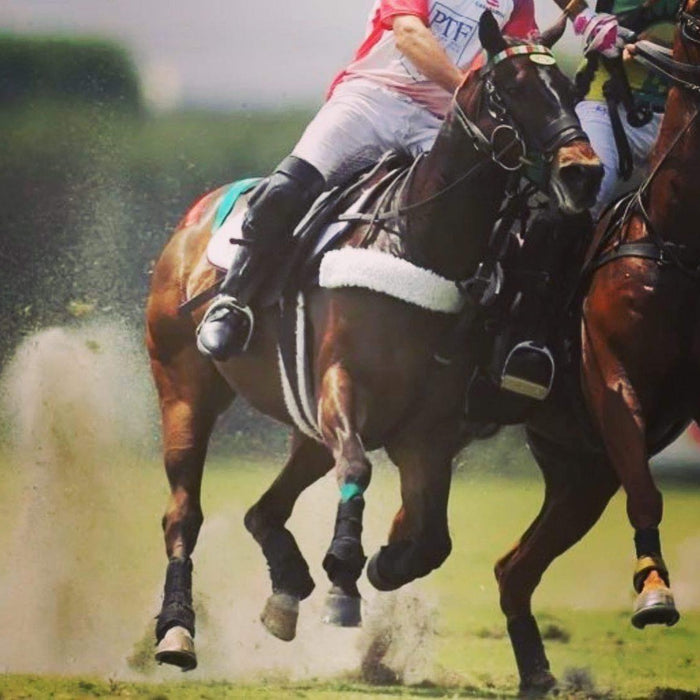 Equi-Tape® being used to prevent injuries for top athletes, shown here on this beautiful polo horse. 