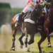 Equi-Tape® being used to prevent injuries for top athletes, shown here on this beautiful polo horse. 