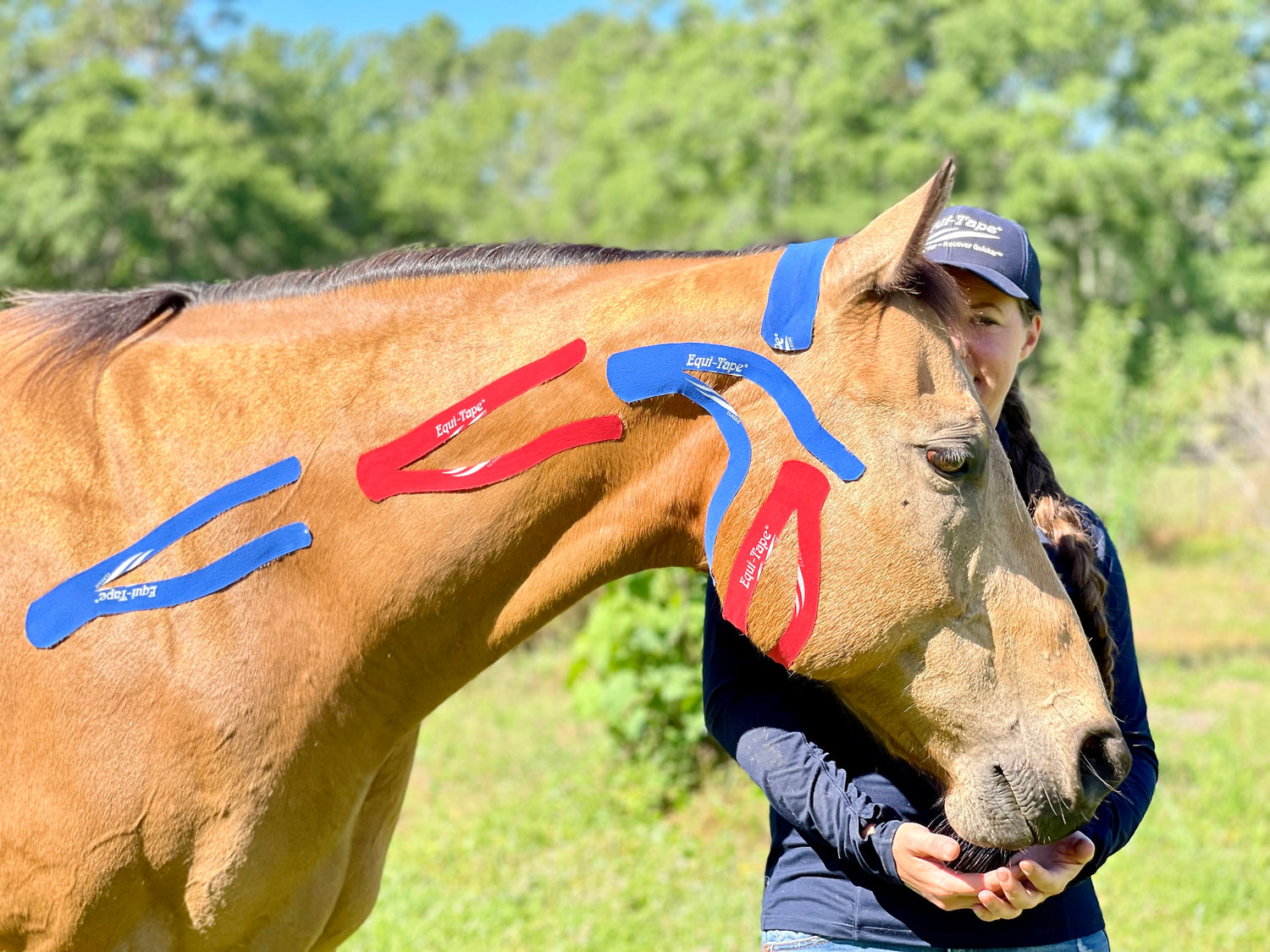 Equi-Tape Practical Solutions Application for Post Dental Work
