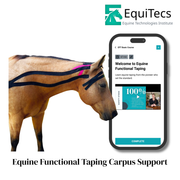 EquiTecs digital course for post-dental support for horses to address post-dental discomfort, head and neck swelling, and injury.