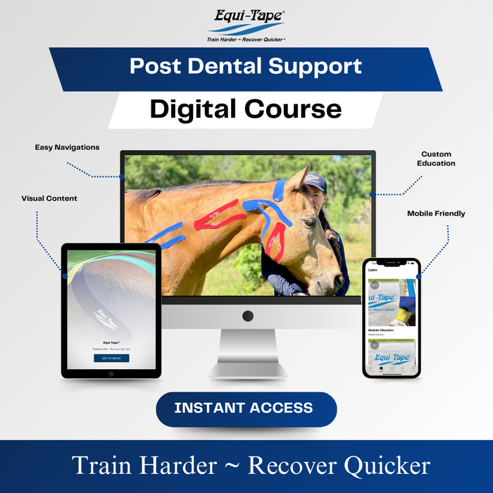 Equi-Tape®'s Practical Solutions ALA Carte application video for equine post dental work. 