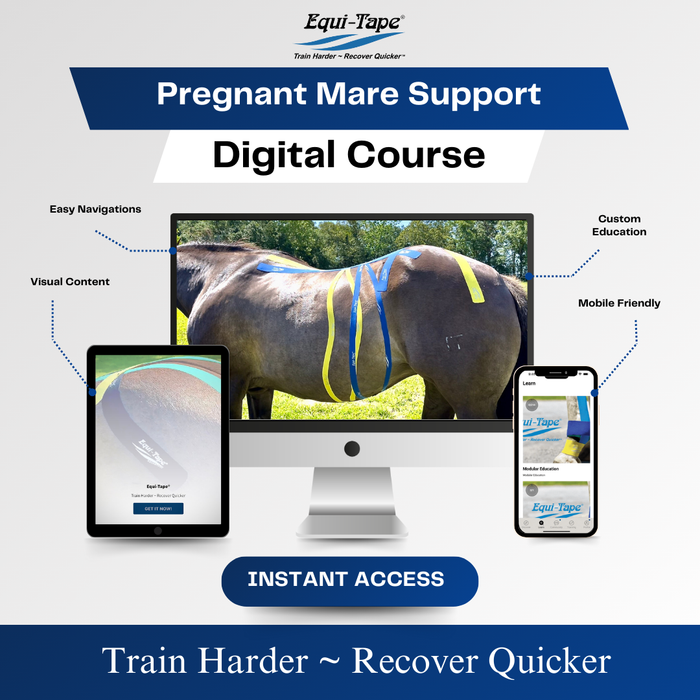 Equi-Tape®'s Practical Solutions ALA Carte application video for pregnant mares to release tension, easy muscle pain, and support the pelvis. 