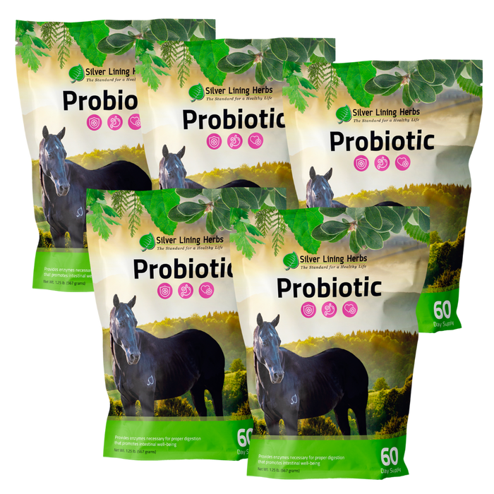 Horse Probiotics