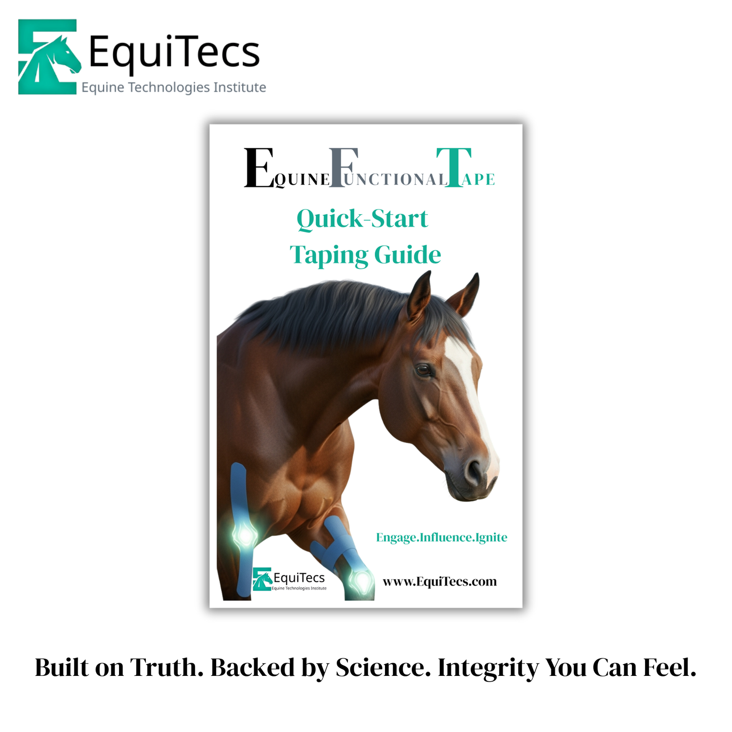 Why This Guide Matters