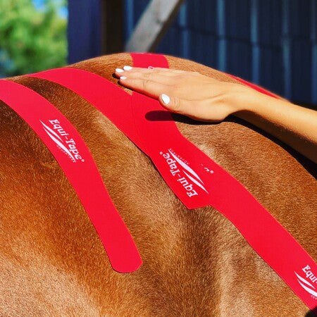Equi-Tape application for the sacroiliac joints