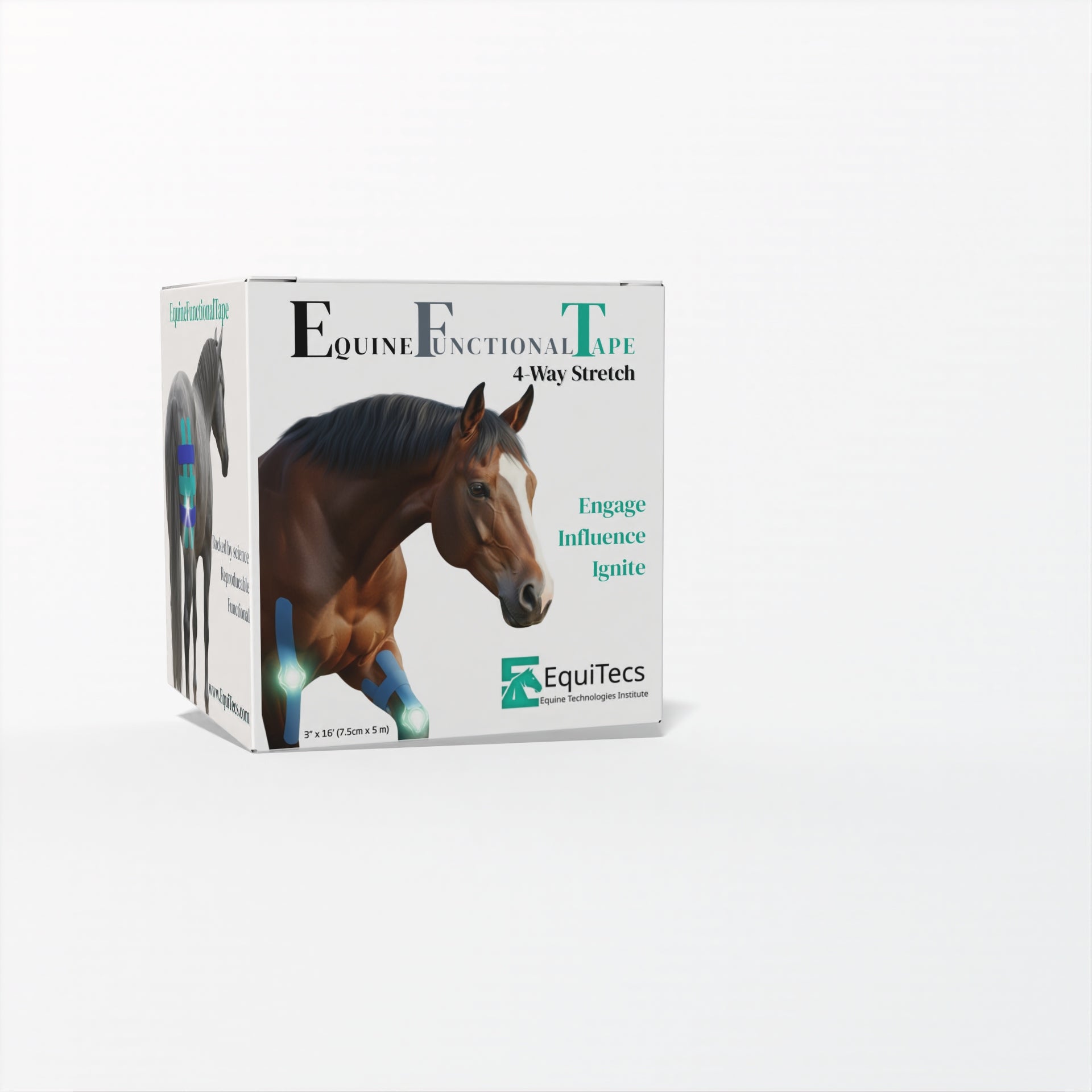 EFT Certification Course & Tape Bundle