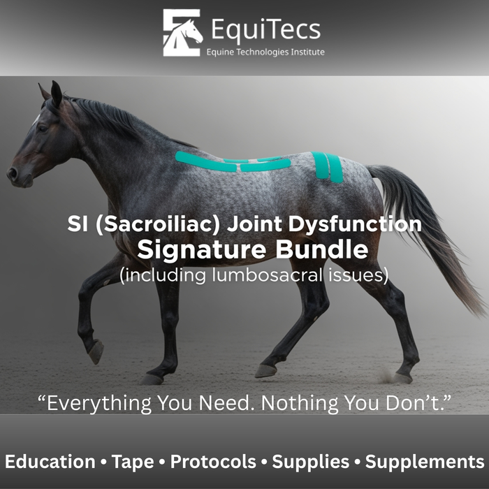 SI (Sacroiliac) Joint Dysfunction Signature Bundle