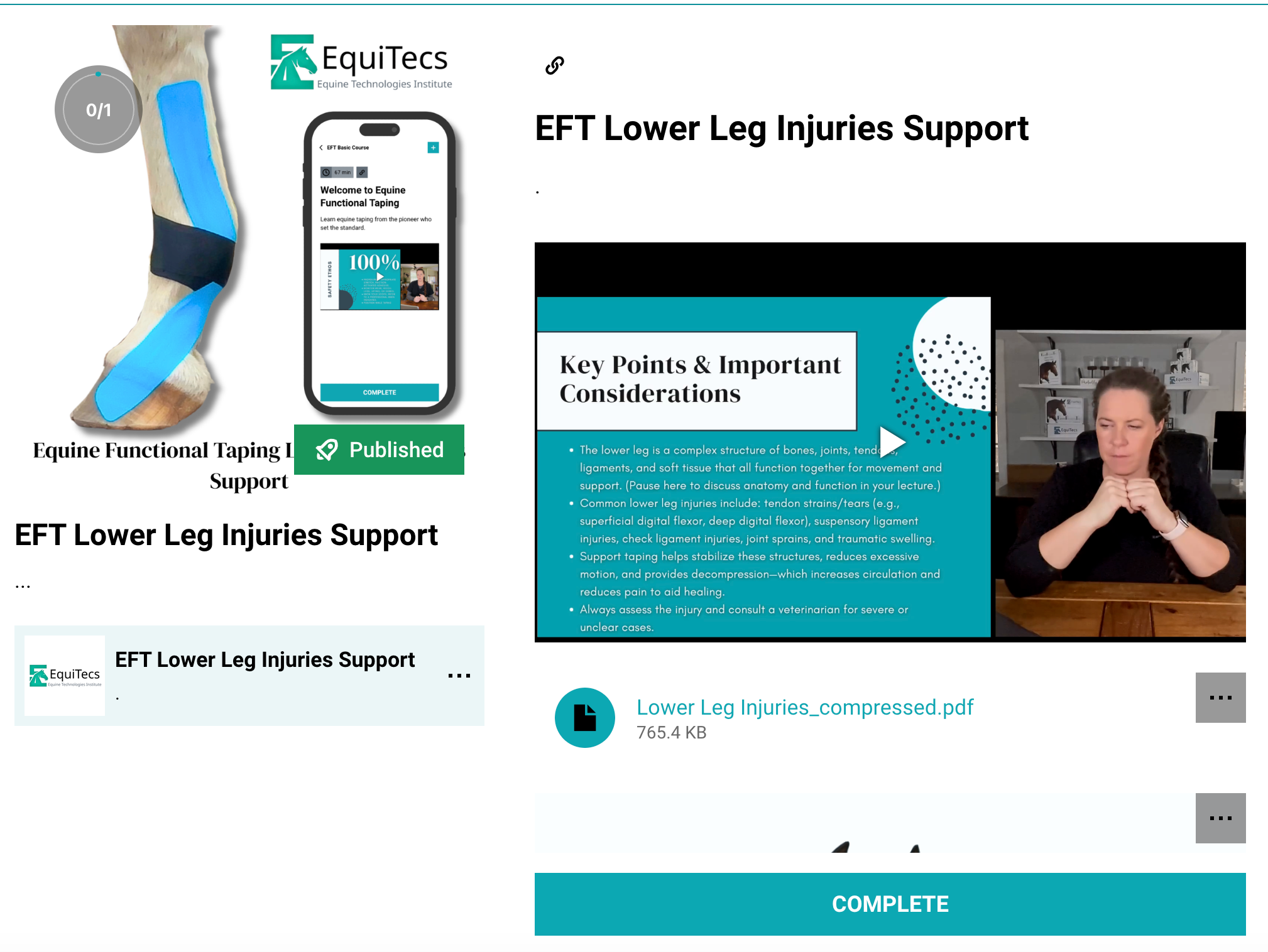 EquiTecs EFT horse lower leg injury course for tendonitis, suspensory tears, and DDFT or SDFT ligament support.
