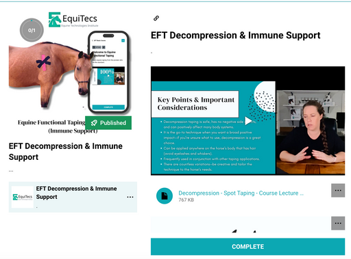 EquiTecs EFT Decompression digital course demonstrating lymphatic immune support functional taping for horse allergy hives support heaves type breathing patterns and whole body swelling.