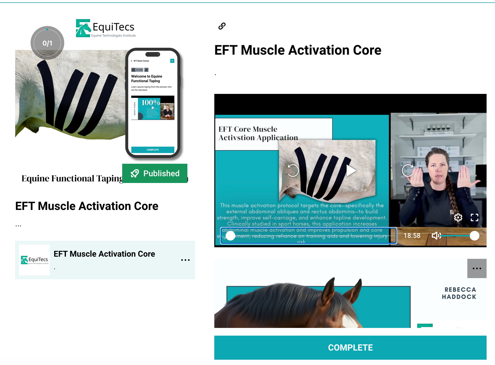 EquiTecs EFT Muscle Activation Core digital course demonstrating horse abdominal functional taping for core muscle activation to support engagement posture and bigger movement.