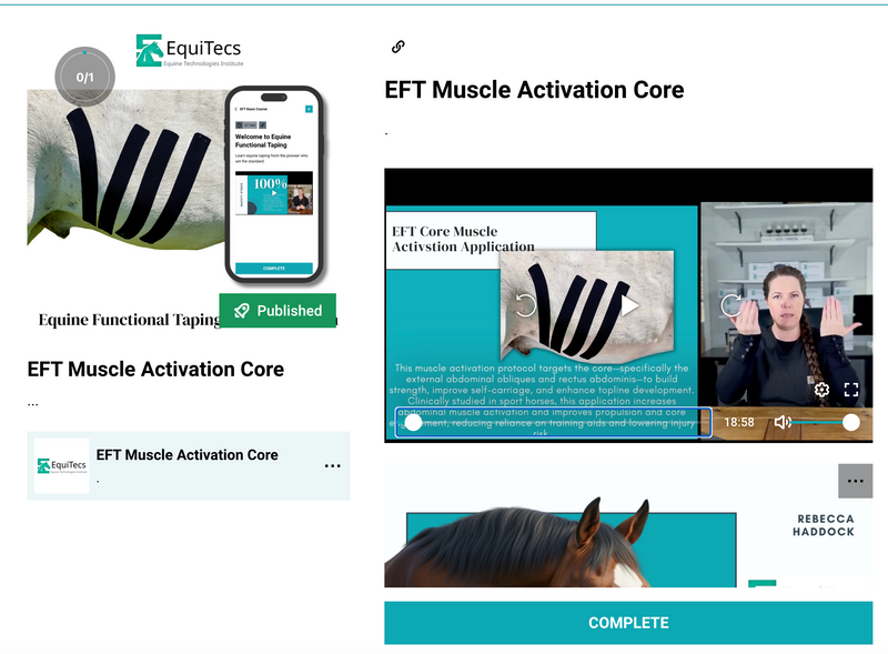 Complete Education + Essential Books Bundle