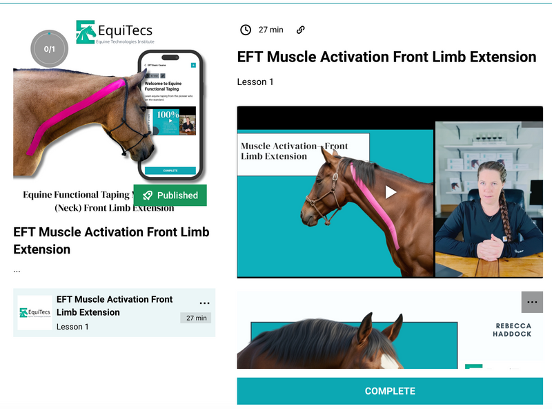 EquiTecs EFT Muscle Activation digital course demonstrating horse neck functional taping for front limb extension to correct short strided and restricted reach patterns.