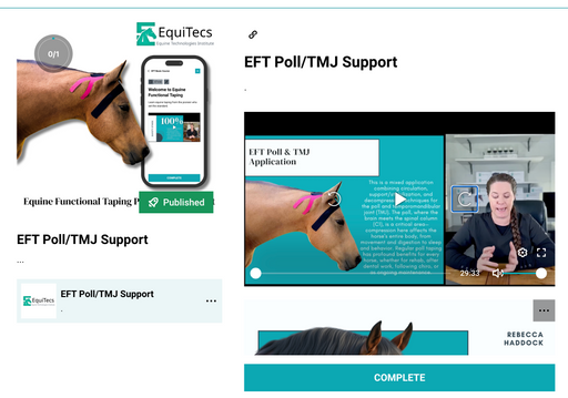 EquiTecs desktop course interface showing the EFT Poll/TMJ Support training dashboard with instructor Rebecca Haddock presenting a taping video lesson for horse's with common issues like jaw tension, headshaking syndrome, and poll pain. 