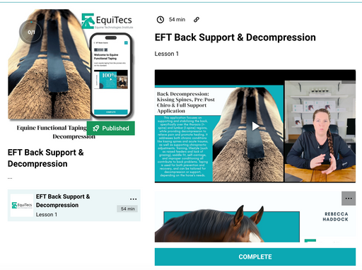EquiTecs EFT Back Support & Decompression digital course demonstrating thoracic lumbar functional taping for horse back injury rehab kissing spine support and instability patterns.
