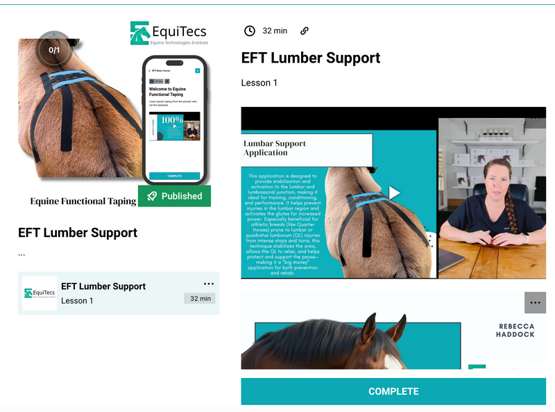 Complete Education + Essential Books Bundle