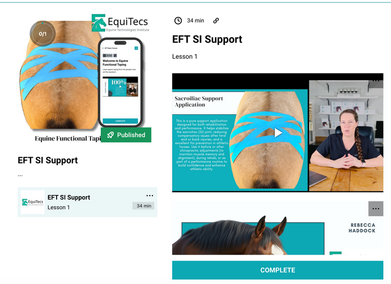 Complete Education + Essential Books Bundle