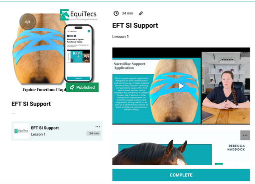 Desktop view of the EquiTecs equine functional taping digital course interface featuring an instructional video lecture on pelvic stability and SI joint stabilization protocols.
