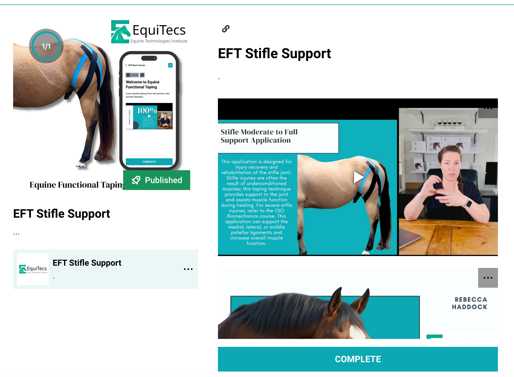 EquiTecs EFT stifle support course for biomechanical joint stability and soft tissue injury recovery.