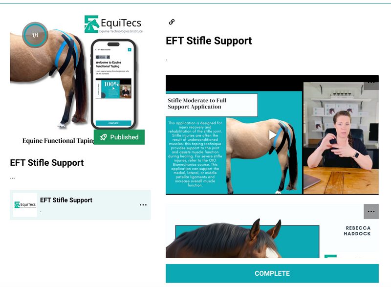 Complete Education + Essential Books Bundle