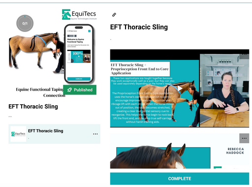 EquiTecs EFT Front End to Core Connection digital course demonstrating thoracic sling engagement and horse forehand decompression taping for posture and self-carriage.