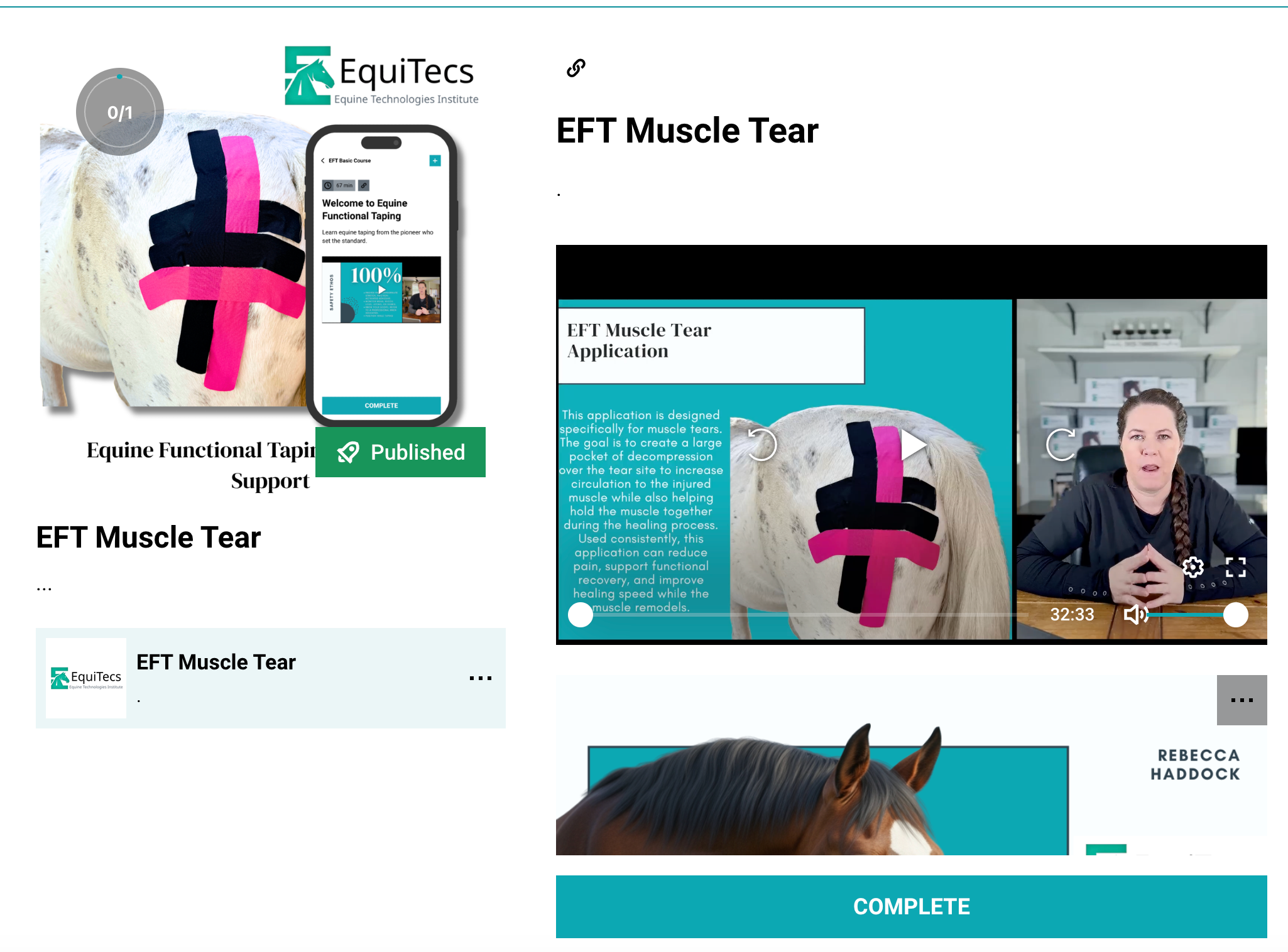 Equine Technologies Institute online video course detailing advanced muscle tear rehabilitation, tissue decompression, and fibrotic scarring treatment.