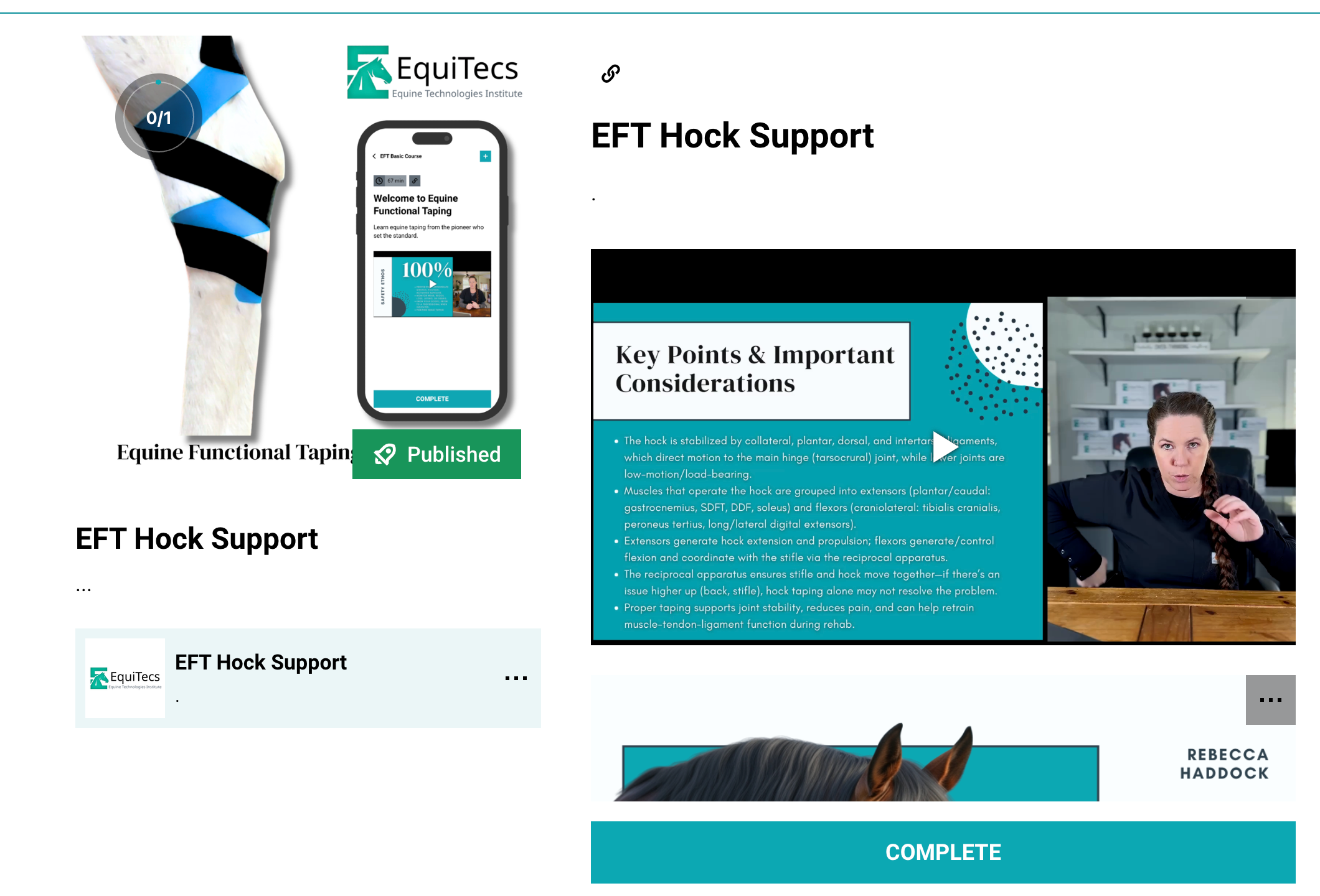 EquiTecs EFT hock support course for biomechanical joint stability, bone spavin, and natural hock fusion relief.