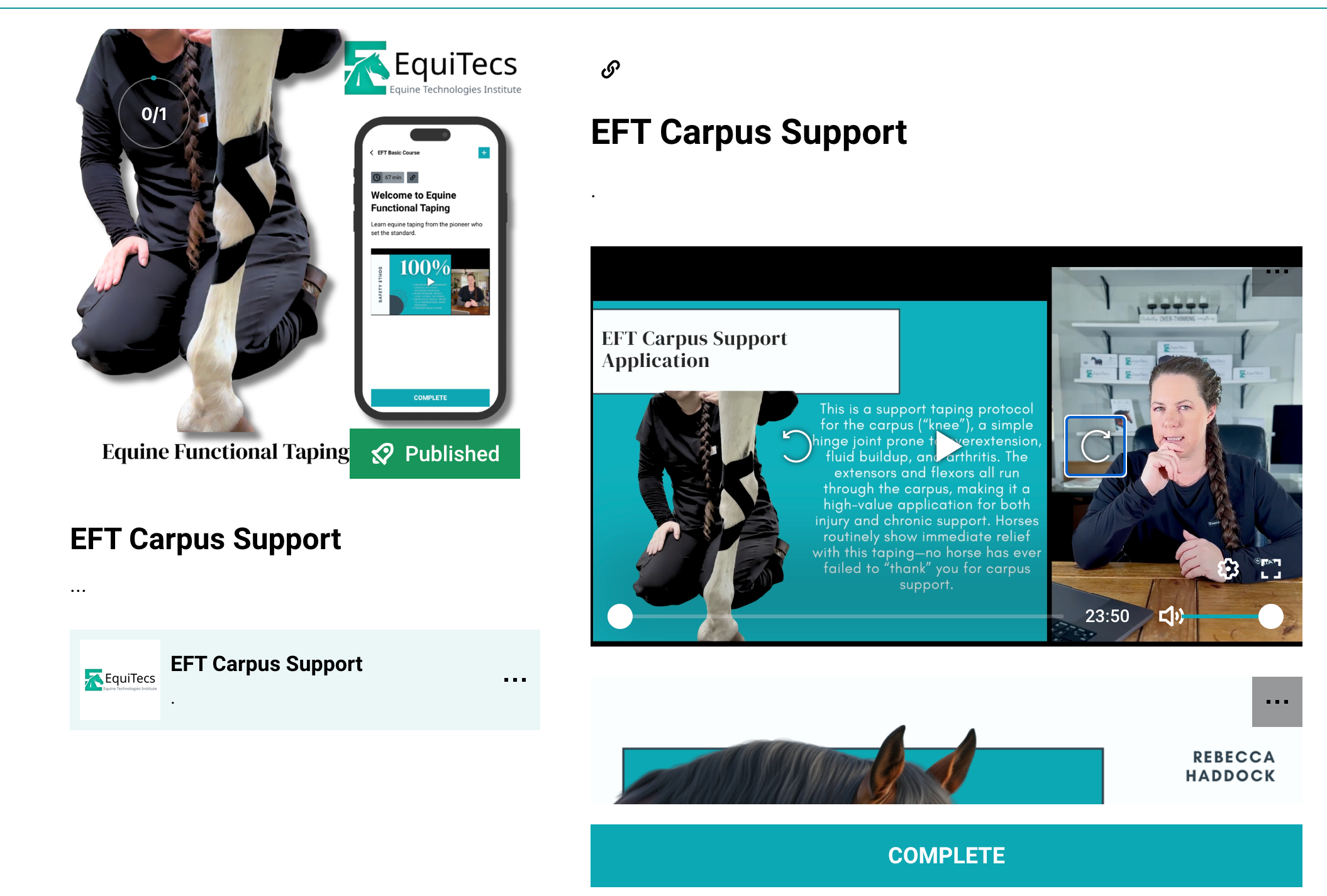 Equine functional taping for horse carpus support, knee arthritis, and post-op joint rehabilitation.