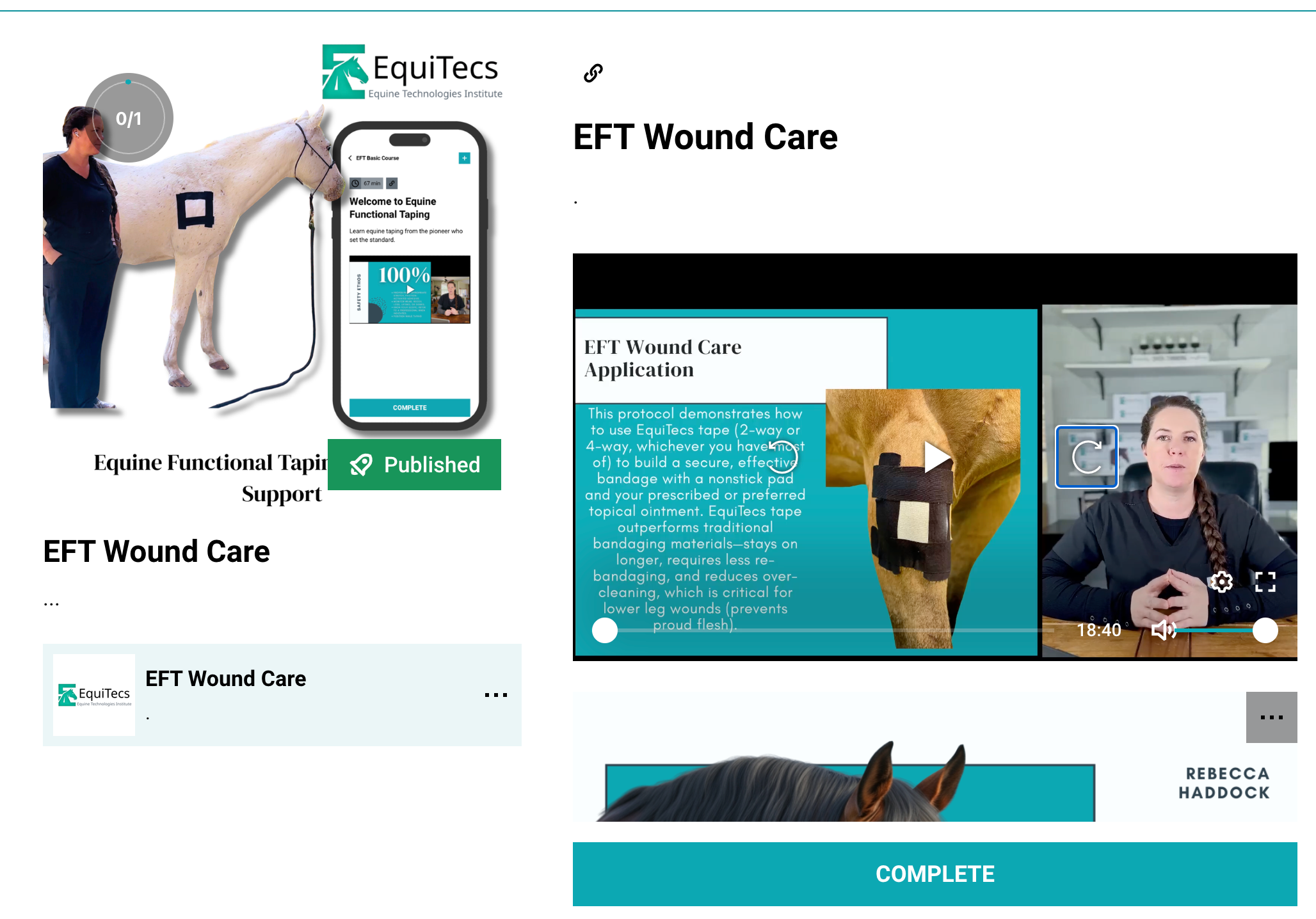 Equine Technologies Institute digital course video demonstrating turnout friendly equine functional taping as a secure vetwrap and standing wrap alternative for horse wound care and proud flesh prevention.
