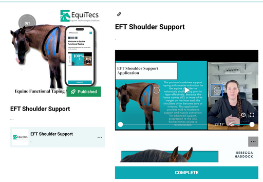 EquiTecs desktop course interface showing the EFT Shoulder Support training dashboard with instructor Rebecca Haddock presenting a shoulder application video lesson.