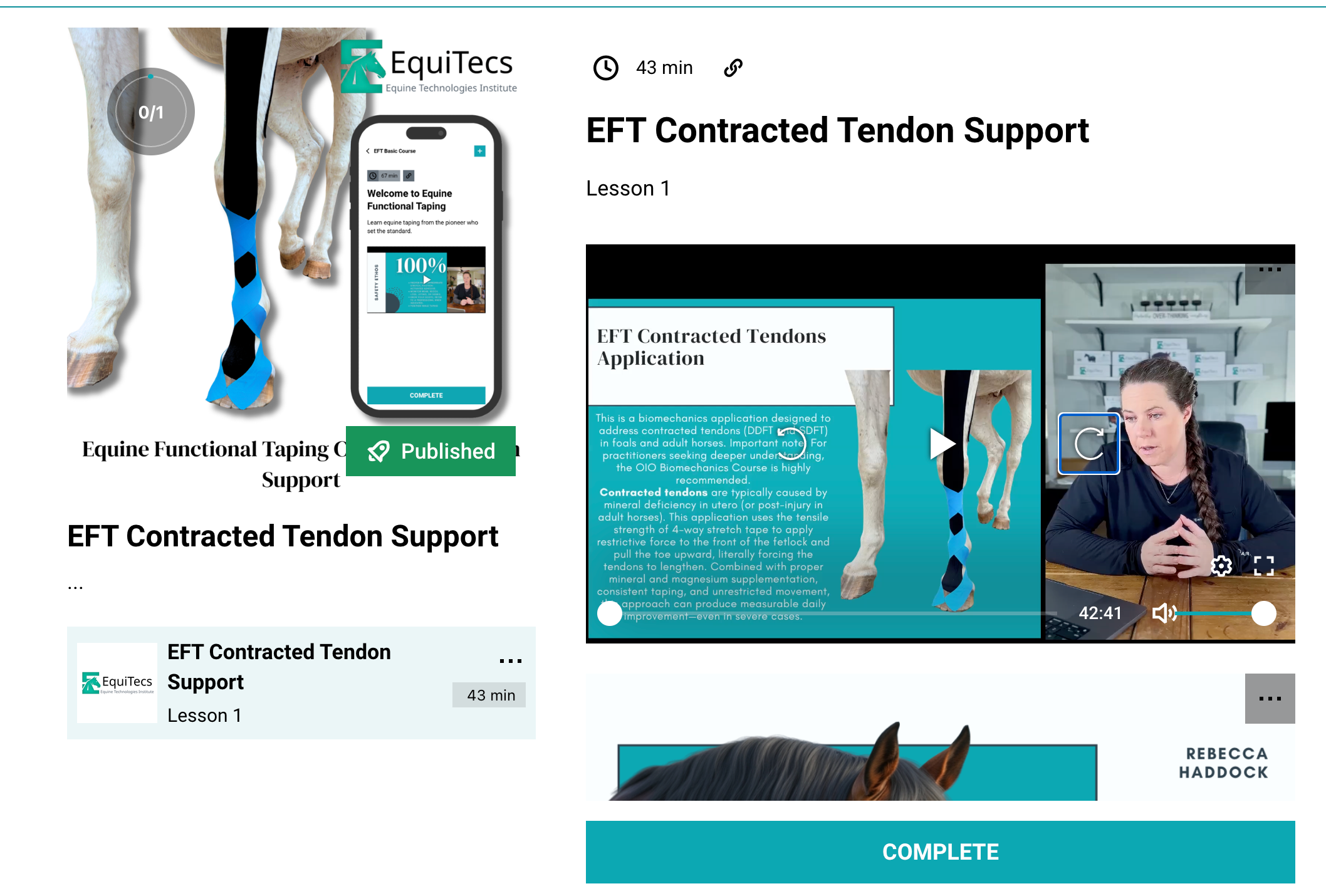 Non-surgical equine contracted tendon support for newborn foals using EquiTecs EFT taping.