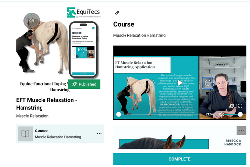 EquiTecs EFT hamstring relaxation course to relieve tight muscles and chronic horse SI joint pain.