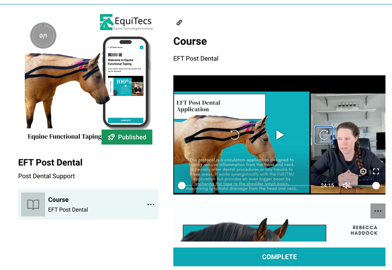 EquiTecs EFT post dental course for horse jaw pain, swelling, and discomfort after teeth floating.