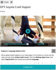 Equine functional taping for crooked legs, carpal valgus or varus deviations, and angular limb deformities.