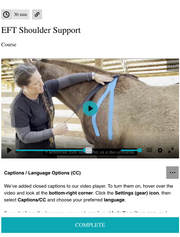 Equine functional taping method for drug-free horse shoulder joint and muscle tissue support.