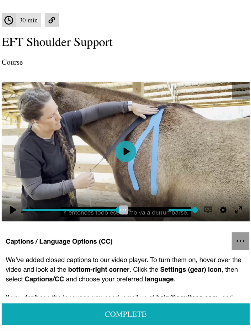 Equine functional taping method for drug-free horse shoulder joint and muscle tissue support.
