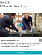 EquiTecs EFT horse lower leg injury course for tendonitis, suspensory tears, and DDFT or SDFT ligament support.