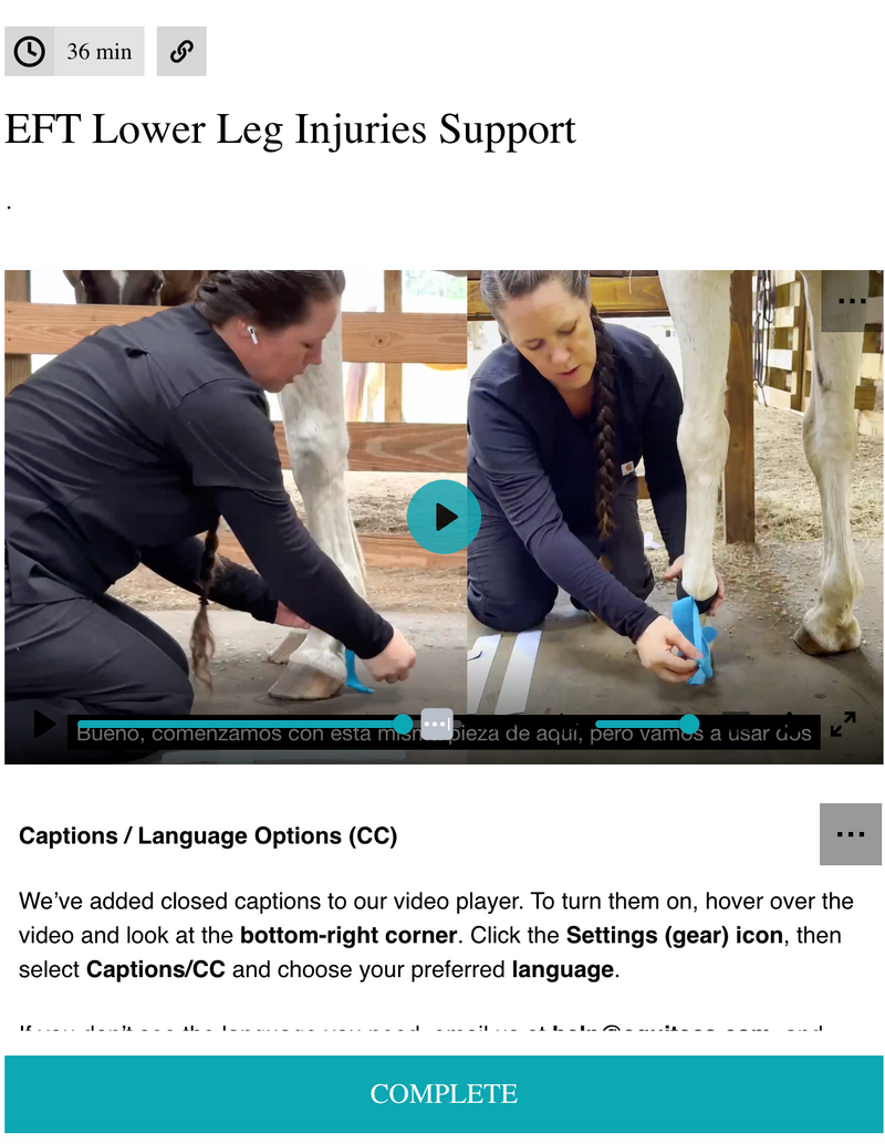 EquiTecs EFT horse lower leg injury course for tendonitis, suspensory tears, and DDFT or SDFT ligament support.