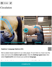 EquiTecs EFT horse circulation course for leg swelling and lymph fluid drainage instead of standing wraps.