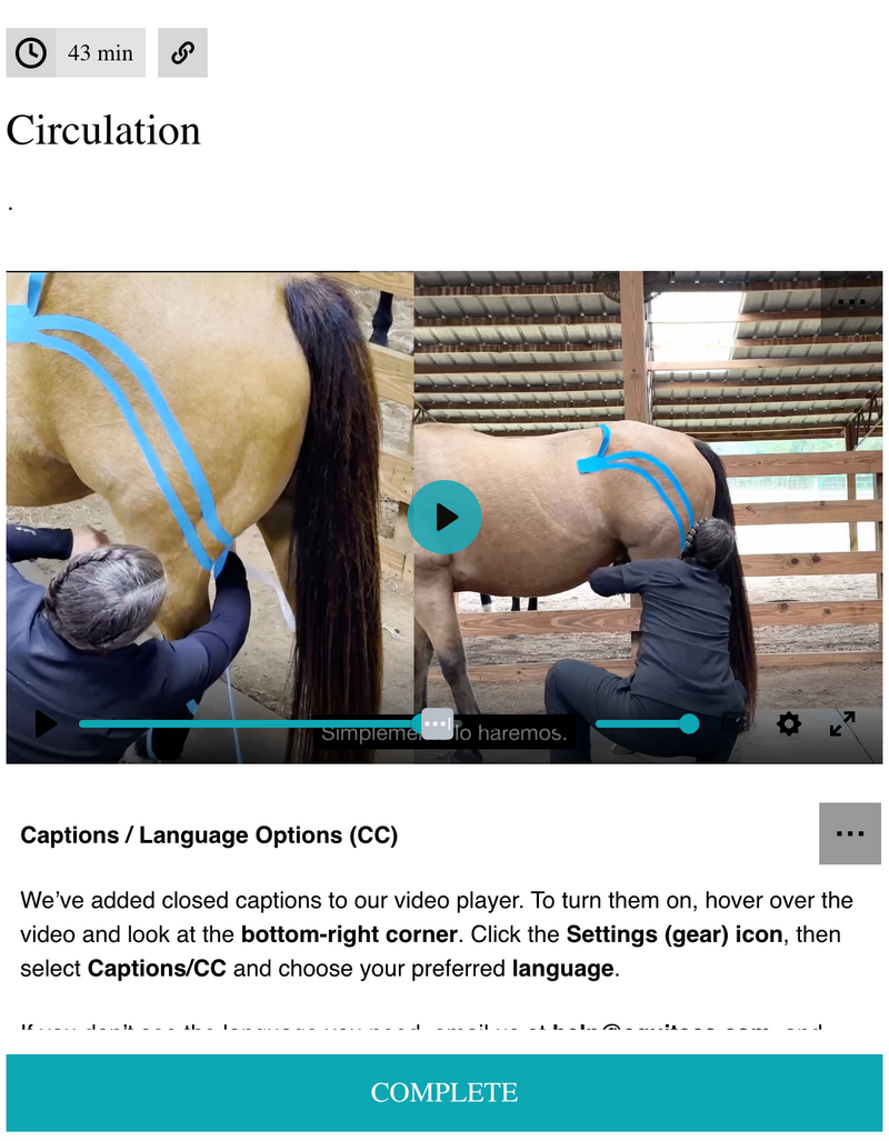 EquiTecs EFT horse circulation course for leg swelling and lymph fluid drainage instead of standing wraps.