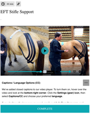 EquiTecs EFT stifle support course for biomechanical joint stability and soft tissue injury recovery.