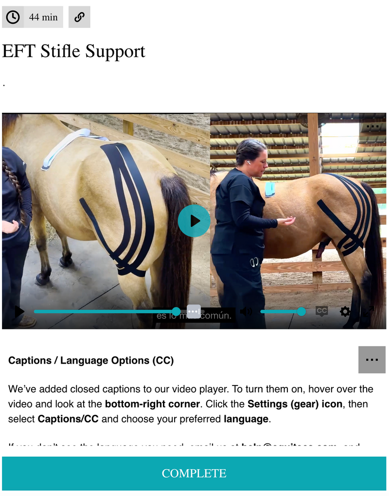 EquiTecs EFT stifle support course for biomechanical joint stability and soft tissue injury recovery.