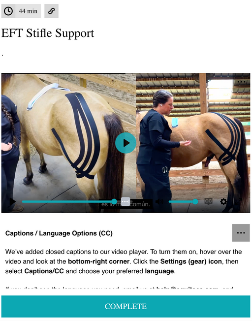 EquiTecs EFT stifle support course for biomechanical joint stability and soft tissue injury recovery.