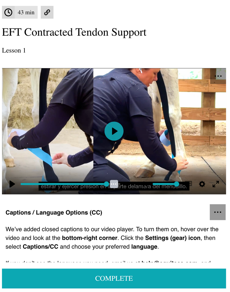 Non-surgical equine contracted tendon support for newborn foals using EquiTecs EFT taping.