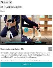 Equine functional taping for horse carpus support, knee arthritis, and post-op joint rehabilitation.