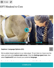EquiTecs EFT Hind End to Core Connection digital course demonstrating equine functional taping for weak behind and trailing hind patterns to support engagement propulsion posture and self carriage.