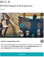 EquiTecs EFT Back Support & Decompression digital course demonstrating thoracic lumbar functional taping for horse back injury rehab kissing spine support and instability patterns.